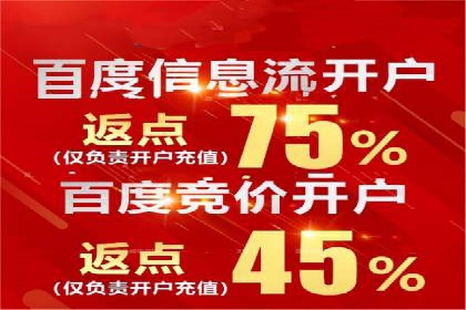 竞价广告的转化率提升策略——案例分享